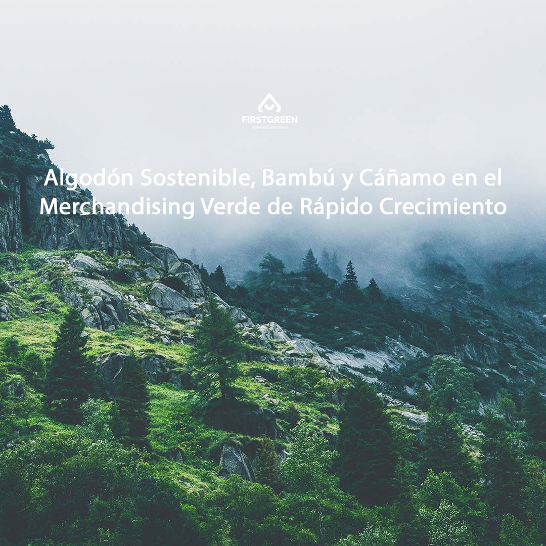 Algodón Sostenible, Bambú y Cáñamo en el Merchandising Verde de Rápido Crecimiento